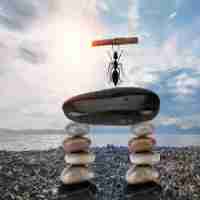 web安‌全﻿进‍阶​